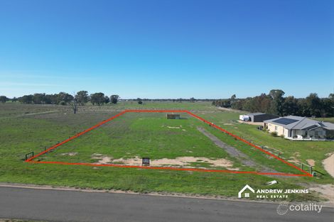 138 Racecourse Rd, Tocumwal, NSW 2714