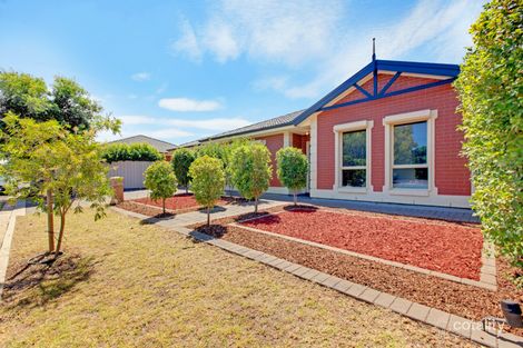 Property photo of 6 Beenleigh Avenue Klemzig SA 5087