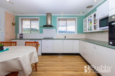 Property photo of 19 Naroo Street Waverley TAS 7250