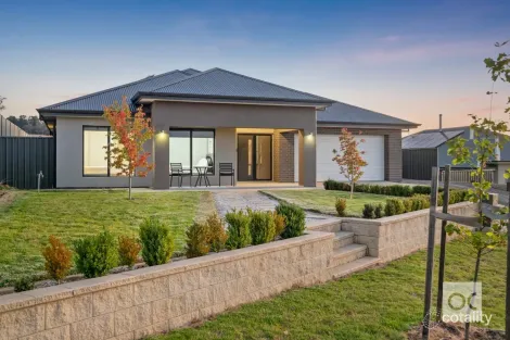 Property photo of 55 Aurora Circuit Meadows SA 5201