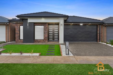 7 Wardell St, Tarneit, VIC 3029