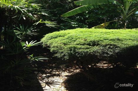 Property photo of 15 Oodgeroo Gardens Byron Bay NSW 2481