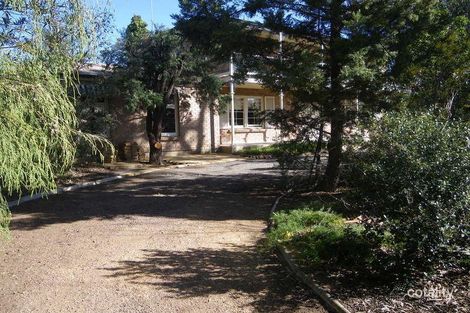 Property photo of 5 Regent Street Risdon Park SA 5540