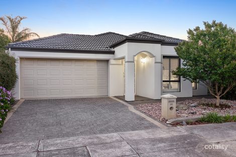 46 Warwick Ave, Kurralta Park, SA 5037