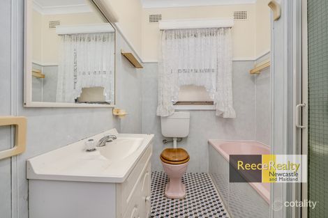 Property photo of 4 Tripet Place Waratah West NSW 2298