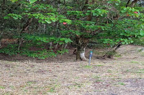 61 Bellview Dr, Ravenshoe, QLD 4888