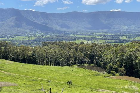 Property photo of 286 Tyalgum Ridge Road Tyalgum NSW 2484