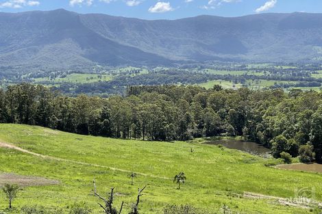 Property photo of 286 Tyalgum Ridge Road Tyalgum NSW 2484