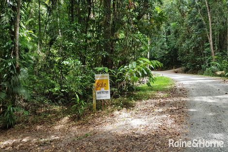 Property photo of 99 Black Bean Road Cow Bay QLD 4873