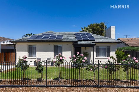 22 Nelson St, South Plympton, SA 5038