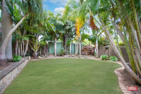 Property photo of 3 Setaria Court Cornubia QLD 4130