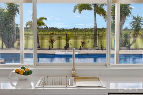 Property photo of 377 Pimlico Road Pimlico NSW 2478