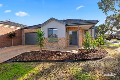 Property photo of 17 Riordan Crescent Mernda VIC 3754