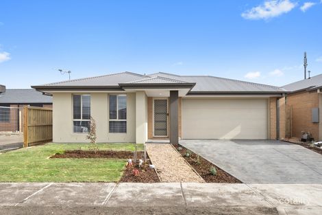 3 Feodora St, Greenvale, VIC 3059