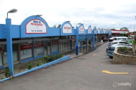 Property photo of 6/129 Waldron Road Chester Hill NSW 2162