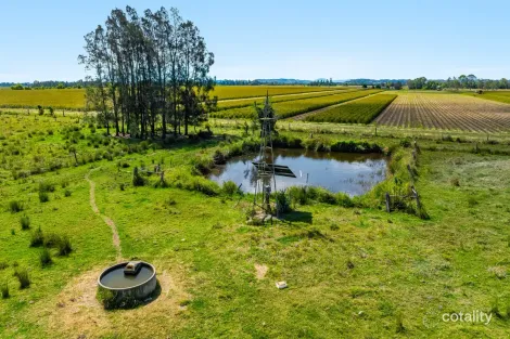 Reynolds Rd, Codrington, NSW 2471