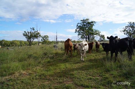Property photo of 159 Mountain Maid Road Greymare QLD 4370