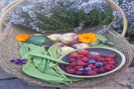 22 Denneys Rd, St Marys, TAS 7215