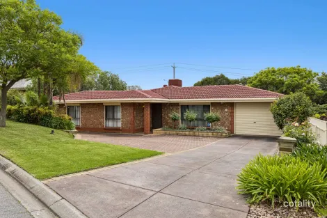 13 Egret Ct, Wynn Vale, SA 5127