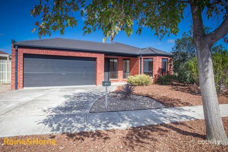 74 Cover Dr, Sunbury, VIC 3429