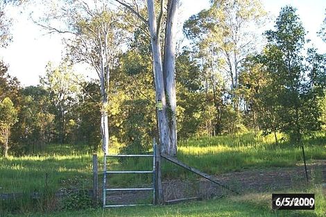 Property photo of 4 Rusa Court Nerang QLD 4211