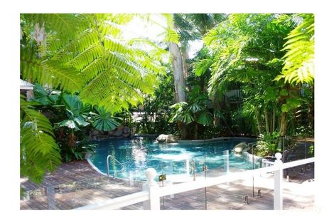 Property photo of 204/6 Triton Street Palm Cove QLD 4879