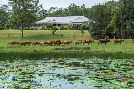 Property photo of 885 Browns Creek Road Eerwah Vale QLD 4562