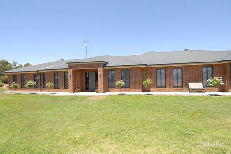 Property photo of 36 Carew Street Deniliquin NSW 2710