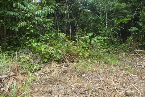Property photo of LOT 1 Cooroo Lands Road Cooroo Lands QLD 4860