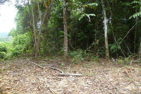 Property photo of LOT 1 Cooroo Lands Road Cooroo Lands QLD 4860