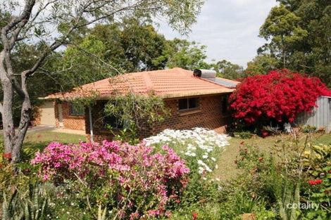 Property photo of 29 Nabarlek Drive Worongary QLD 4213