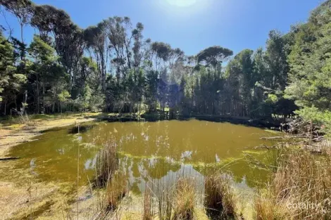 2177 Fraser Rd, Pegarah, TAS 7256