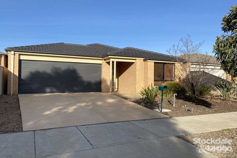 Property photo of 9 Teatree Place Kialla VIC 3631