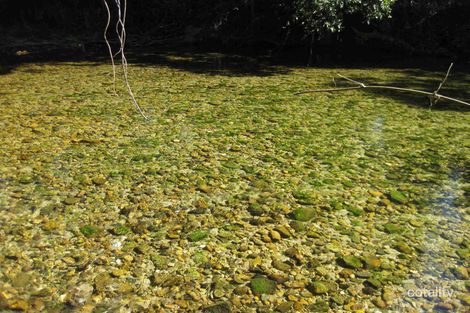 219 Old Tully Rd, Bulgun, QLD 4854