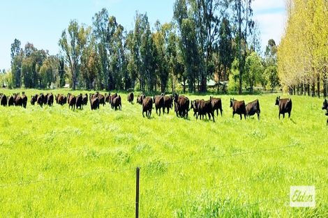 2708 Wangaratta-Whitfield Rd, Moyhu, VIC 3732