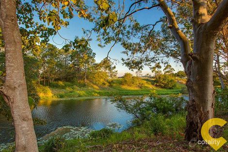 Property photo of 13 Moloney Place Bellmere QLD 4510