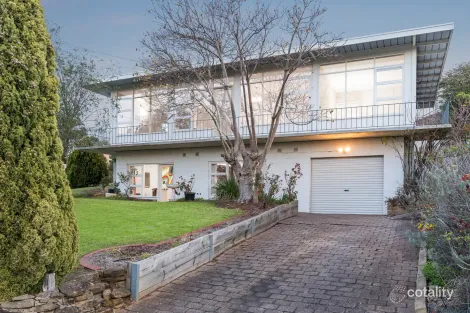 Property photo of 123 Mount Pleasant Road Belmont VIC 3216