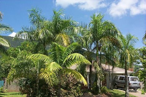 13 Kamala St, Redlynch, QLD 4870