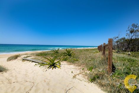 Property photo of 1 Baleara Street Buddina QLD 4575