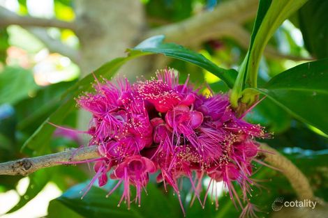 17 Moorhouse Gully Rd, Amamoor, QLD 4570