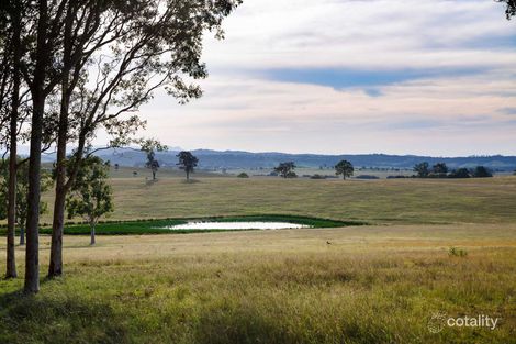 Property photo of 17 Camilla Close Windella NSW 2320