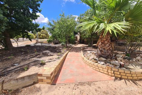 Property photo of 8 Kobeelya Avenue Katanning WA 6317