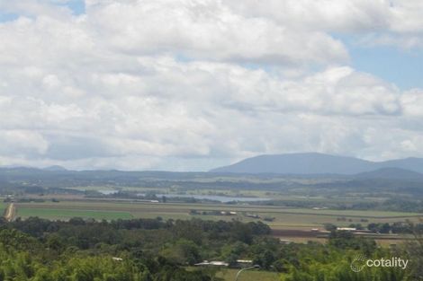 Property photo of 58 Dalziel Avenue Atherton QLD 4883