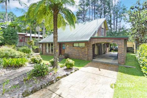 Property photo of 2303 Springbrook Road Springbrook QLD 4213