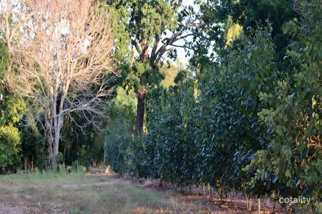 125 Dreamtime Dr, Mcminns Lagoon, NT 0822