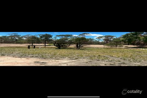 319 Males Dr, Tara, QLD 4421