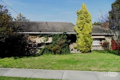Property photo of 33 Sharrock Drive Dingley Village VIC 3172