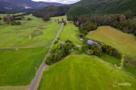 460 South Springfield Rd, South Springfield, TAS 7260
