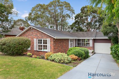 28 Campbell St, Glen Waverley, VIC 3150