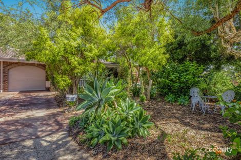 19b Pendine St, Carine, WA 6020